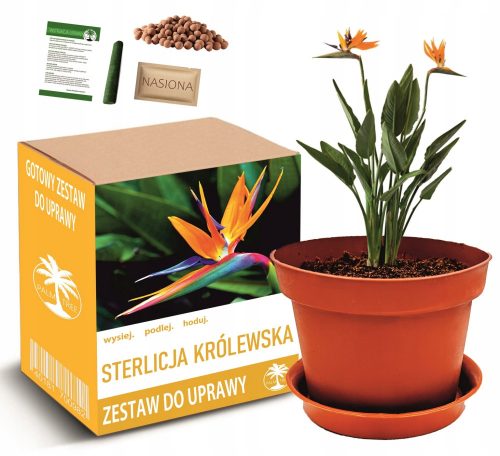  STERLICIA ROYAL - PARADISE MADÁR termesztésére szolgáló készlet