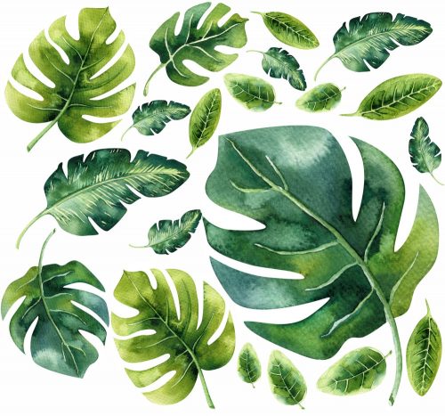 Gyermek falragaszok - Falragaszok MONSTERA levelek 100x200cm MR