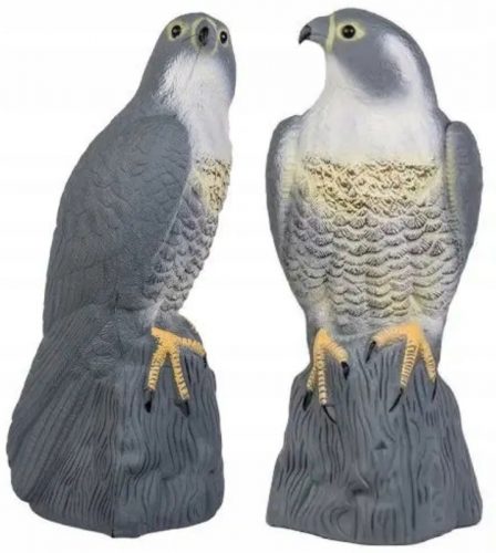 Falcon Bird Repeller Pigeon Sparrows 42cm