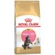 Granulátum macskáknak - ROYAL CANIN KITTEN MAINE COON cicatáp 10kg