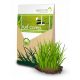 Micélium és mikorrhiza - TURFCOMP - mikorrhiza + műtrágya + hidrogél 3 kg