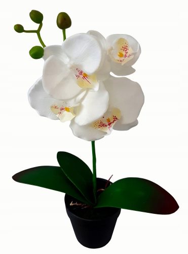 Művirágok, gyümölcsök - MESTERSÉGES ORCHIDEA orchidea virág ORCHIDEA 38cm