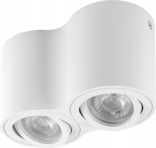 Motor luminaire. Movable Spot 2x GU10 LED -hez