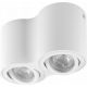 Motor luminaire. Movable Spot 2x GU10 LED -hez