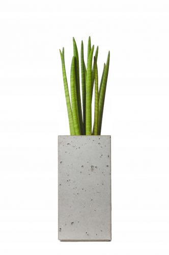 Virágcserepek - 50 x 25 cm szürke beton burkolat