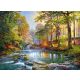 Klasszikus puzzle - PUZZLE PUZZLE LANDSCAPE RIVER FOREST 3000 CASTOR