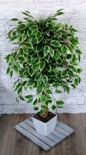 Művirágok, gyümölcsök - Mesterséges Ficus Benjamina fa, 100 cm, virág