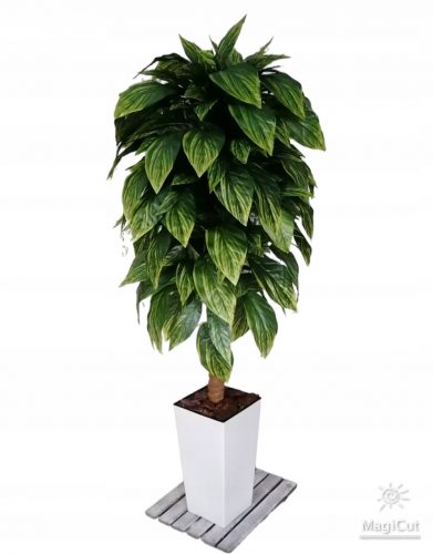 Művirágok, gyümölcsök - Ficus, műfikusz, 140 cm, fehér, fekete virágcserép