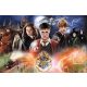  Rejtvény Trefl Harry Potter 300 db Puzzle 300 Titokzatos Harry Potter TREFL 23001