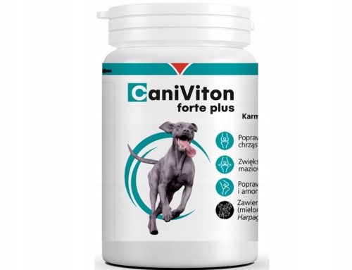 Vitaminok macskáknak - Vetoquinol caniviton forte plusz porc 90 fül