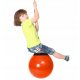 Swing Seat Ball for Children Bója 43523 POM