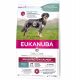  Eukanuba száraztáp lazac 2,3 kg