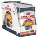 Konzerv macskáknak - Royal Canin Care Intense Beauty 12x85g