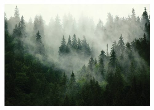 NATURE FOREST in the Köd fotótapéta 400x280cm a nappaliba