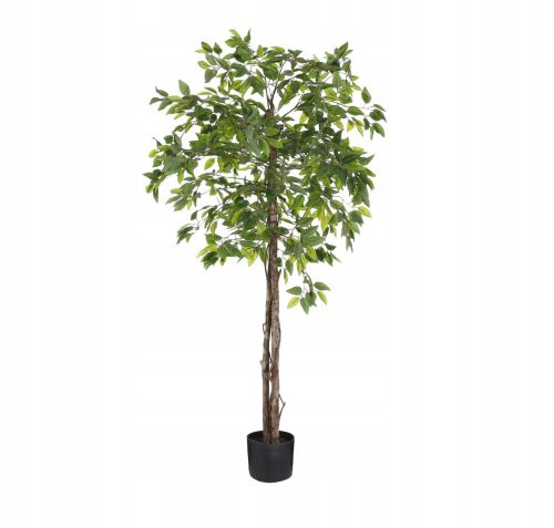 Művirágok, gyümölcsök - Ficus cserépben, zöld, magas, 150 cm, mű