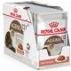 Konzerv macskáknak - Royal Canin öregedő 12+ SOS 12x85G