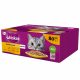 Konzerv macskáknak - Whiskas Sachlets Food For Cat baromfi 80x85 g