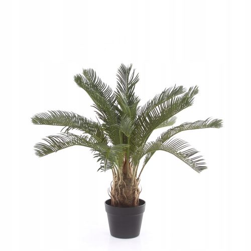 Művirágok, gyümölcsök - Mesterséges pálma nagy minőségű Cycas 60 cm Cyas