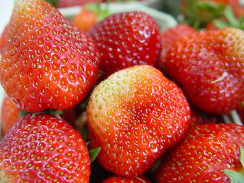  Strawberry Strawberry SEDINGS CSOMAG eper SZUPER gyümölcs 5 hónapig