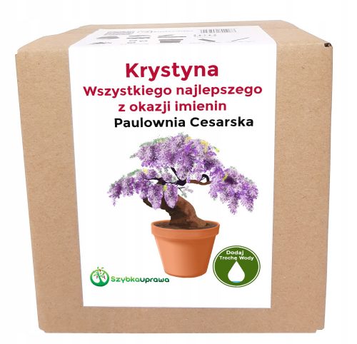  Paulownia termesztési készlet Krystyna Krystyna névnapjára