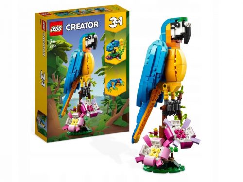 LEGO Creator 3 w 1 - Lego Creator 3in1 egzotikus papagáj 31136