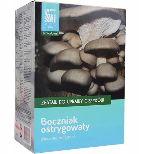  Készlet Planto gombák, laskagomba pleurotus Dobrzeatus termesztésére