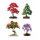 Adventi naptár - Bonsai indító indító készlet. Kiegészítők