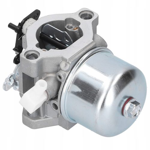 Karburátor szerszámokhoz - CURBURETOR 699831