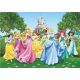 Tapéta a gyerekszobába - Disney Princess Wall falfestmény Disney 254x360cm