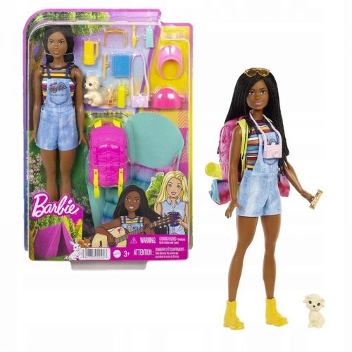 Barbie baba - Mattel Barbie Doll Brooklyn a kempingben