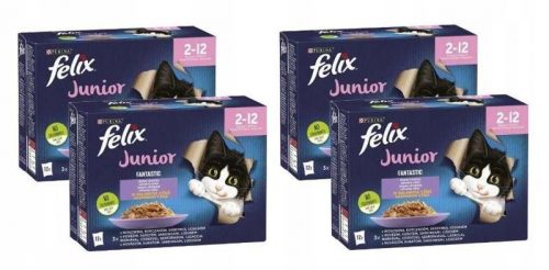 Konzerv macskáknak - Felix fantasztikus junior csirke 48x85g