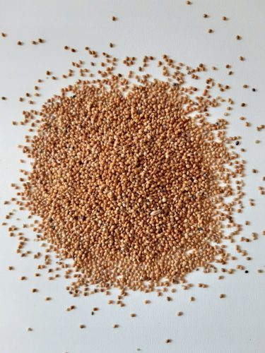 Takarmány egzotikus madarak - Millet 25 kg