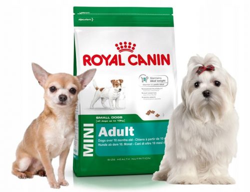 Száraz kutyaeledel - ROYAL CANIN Mini Felnőtt CHIHUAHUA MALTESE 4 KG