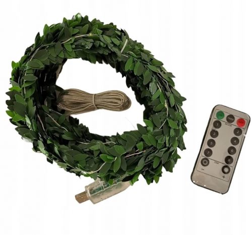  Boxwood Rope Led 100 leveles USB girland lámpa