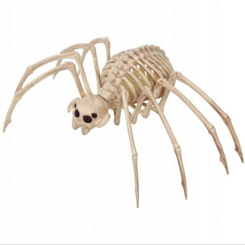 Tarantula csontváz pók nagy halloween