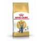 Granulátum macskáknak - Royal Canin Brit Shorthair 34 száraz étel 4 kg