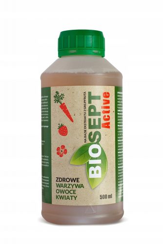 Biosept Active 500 ml Cintamani