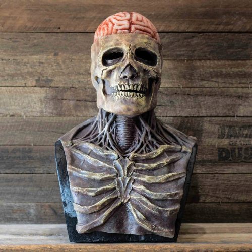 SKULL BRAIN MASK HORROR HALLOWEEN