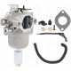  BRIGGS STRATTON CARBURETOR 590400 593433 699916 794294