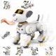  Programozáshoz és kódoláshoz Robop INTERACTIVE ROBO DOG TÁVIRÁNYÍTÁSÚ ÉRINTŐ