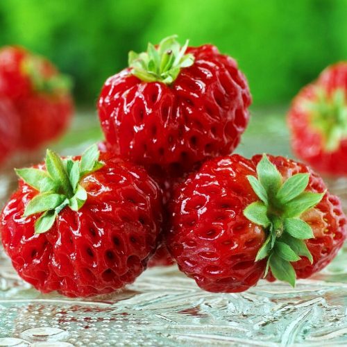  Erdei szamóca és eper MÁLNA EPER FRAMBERRY 10 VEGYES NAGYON ÉDES csupasz gyökér palánta 10-20 cm