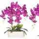  SZILIKON ORCHIDEA MŰSZILIKON ORCHIDEÁK