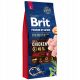 BRIT PREMIUM BY NATURE FELNŐTT NAGY L 15KG