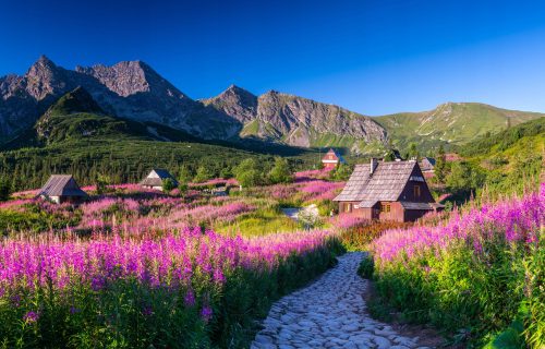 FOTÓTAPÉTA HÁLÓSZOBÁBA, NAPPALIBA, GASIENICOWA TEREMBE TATRAS TAPÉTA FAL 390x254