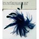  Fejbűvölő BROOCH PIN Fejdísz FEATHER NAVY BLUE