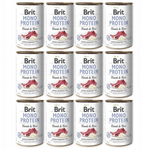  Brit Mono Protein nedves kutyaeledel bárány rizzsel 400 g