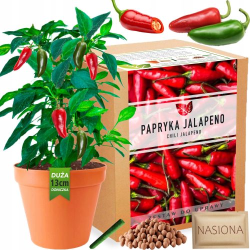  Jalapeno Chili Pepper XXL paprikatermesztő készlet magvak