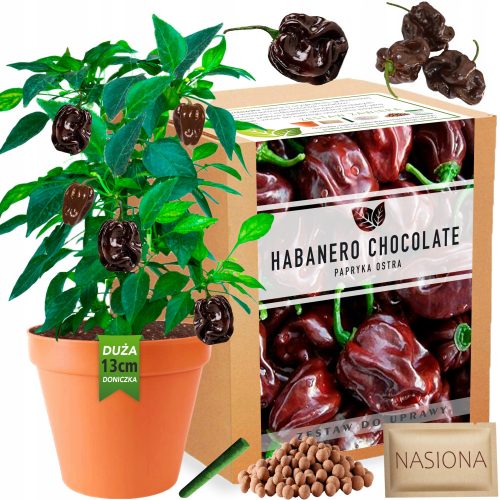  Habanero Chocolate Pepper XXL Paprika termesztő készlet