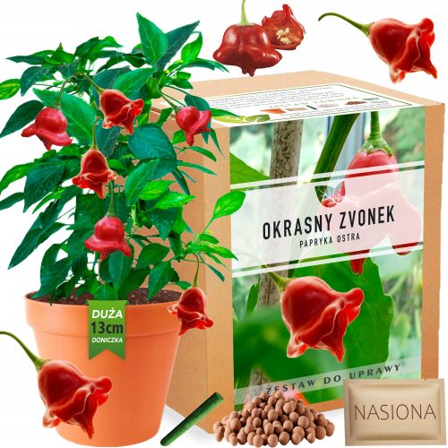  Paprika Okrasny Zvonek Kit paprika termesztéséhez XXL Seeds Dísznövény