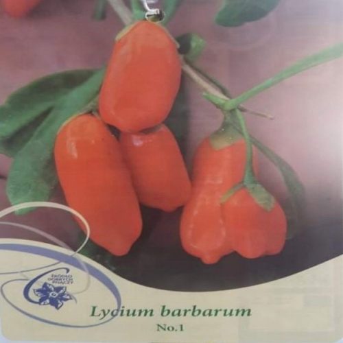  Goji Bogyó No.1 Lycium barbarum